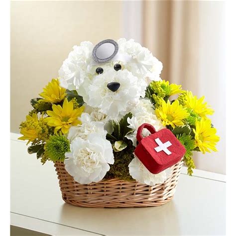 1-800-FLOWERS.COM Doggie Howser M.D. Arrangement logo