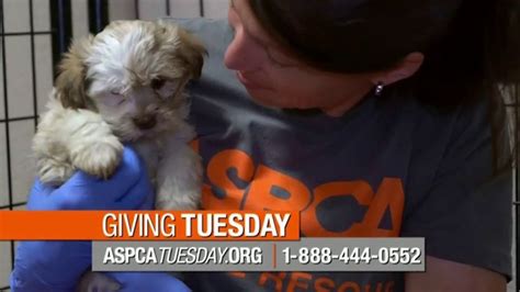 ASPCA Giving Tuesday TV commercial - You Have the Power: 1,000 New Donors Needed