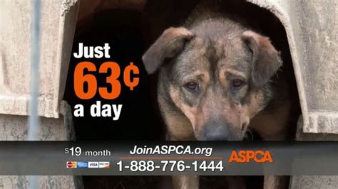 ASPCA TV Commercial For Neglect and Abused Animals