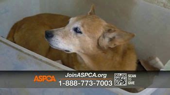 ASPCA TV Spot, 'Outside in the Cold' created for ASPCA