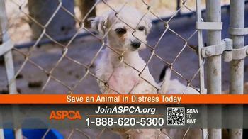 ASPCA TV Spot, 'Summer Temperatures: Free Welcome Kit' created for ASPCA