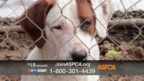 ASPCA TV Spot, 'Winter Help'