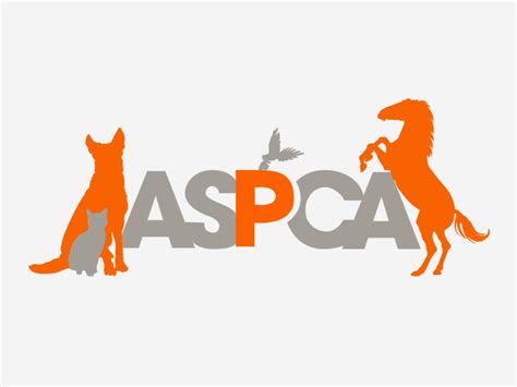 ASPCA TV Commercial For Neglect and Abused Animals
