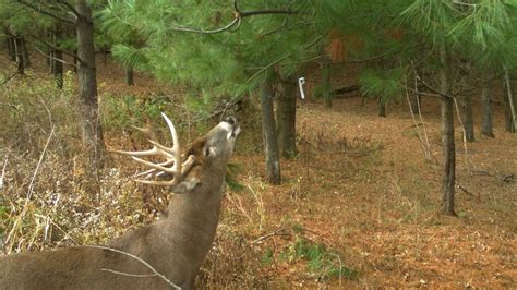 ATA Deer Protection Program TV Spot, 'CWD Facts' created for Archery Trade Association