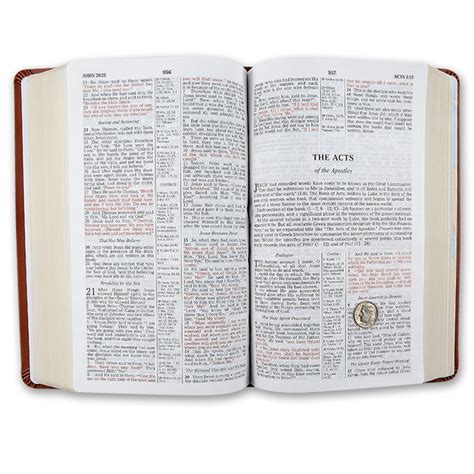 Amazing Facts Bookstore Prophecy Study Bible logo