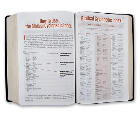 Amazing Facts Bookstore Prophecy Study Bible