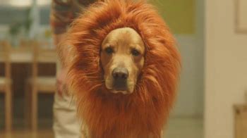 Amazon Prime TV commercial - Lion