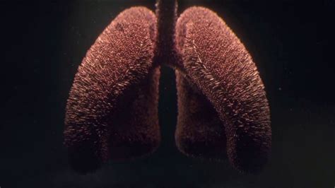 American Lung Association TV Spot, 'COVID-19: Stay Safe and Informed'