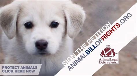 Animal Legal Defense Fund TV Spot, 'Sign the Animal Bill of Rights' created for Animal Legal Defense Fund