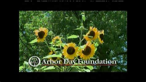 Arbor Day Foundation TV commercial - Come on