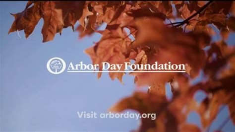 Arbor Day Foundation TV commercial - The Big Picture