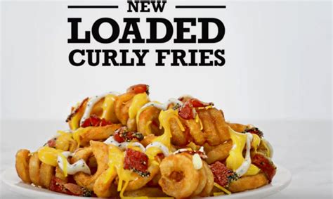 Arby's Gyro Loaded Curly Fries tv commercials