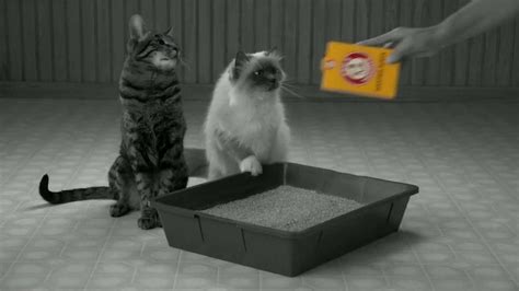 Arm & Hammer Pet Care Clump & Seal Cat Litter TV commercial - The Change Needed