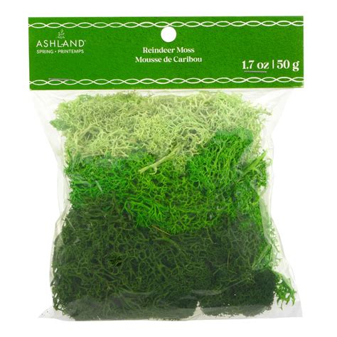 Ashland by Michaels Green Reindeer Moss Mix by Ashland