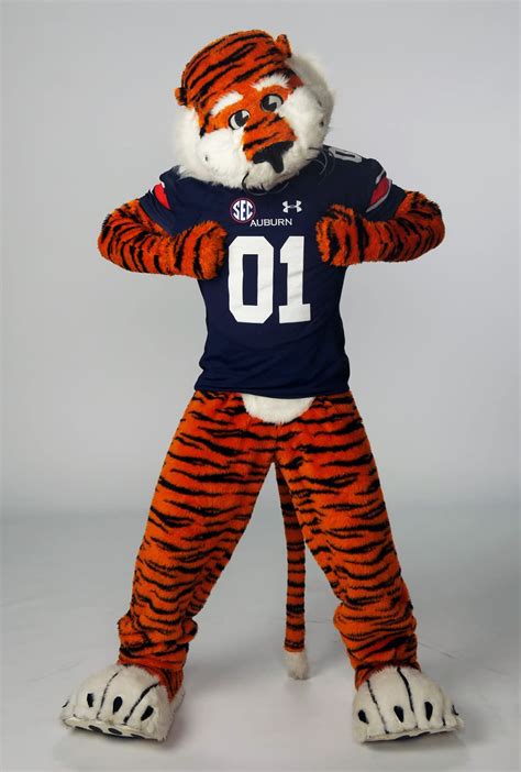 Aubie the Tiger photo