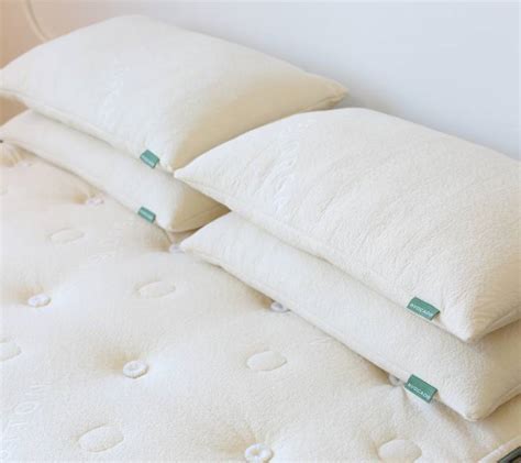 Avocado Mattress Green Pillow