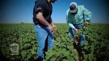 BASF TV Spot, 'Operation Weed Eradication: Cotton Center's End of Planting Season' created for BASF