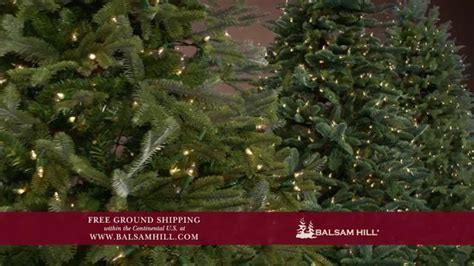 Balsam Hill TV Spot, 'Brand All New Free Shipping'