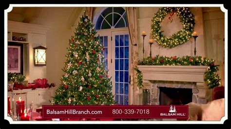 Balsam Hill TV Spot, 'This Tree' created for Balsam Hill