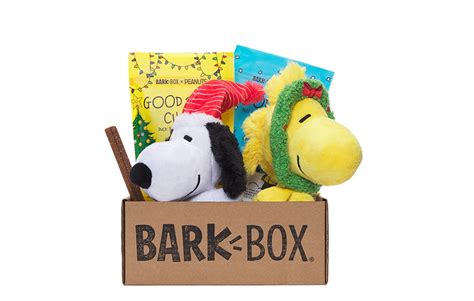 BarkBox Peanuts Box