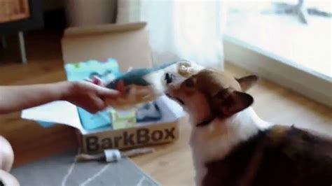 BarkBox TV Spot, 'Holiday Box'