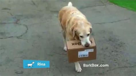 BarkBox TV Spot, 'Unboxing'