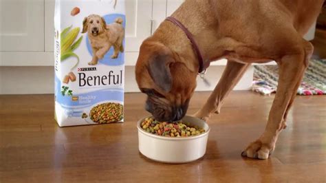 Beneful Healthy Smile TV Spot, 'Play Close' created for Purina Beneful