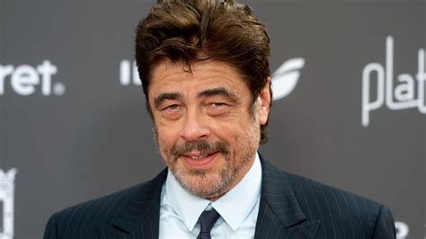 Benicio Del Toro photo
