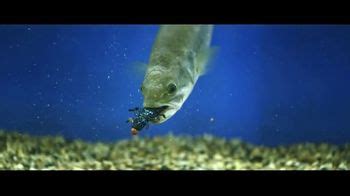 Berkley Fishing PowerBait TV Spot, 'Scientifically Proven'