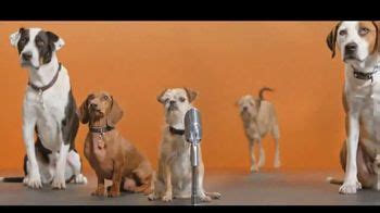 Best Friends Animal Society TV Spot, 'Dear, Humans'