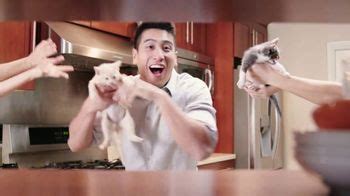 Best Friends Animal Society TV Spot, 'Gatitos'