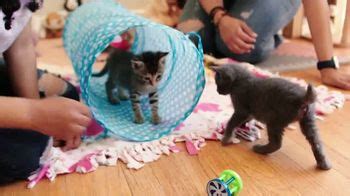 Best Friends Animal Society TV Spot, 'Kitten Season: More Urgent Than Morning Coffee'