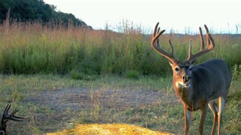 Big & J TV Commercial , 'Long Range Attractant'