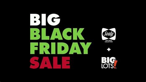 Big Lots Black Friday Sale TV commercial - Sealy Mattesses BOGO