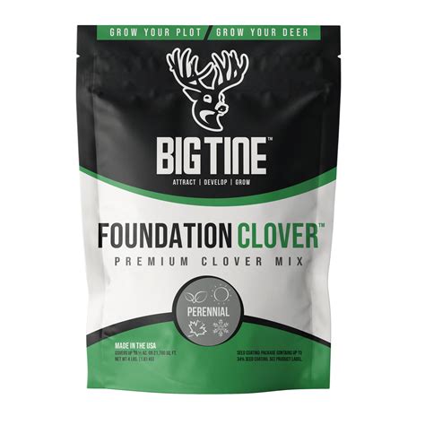 Big Tine Foundation Clover