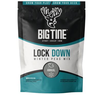 Big Tine Lock Down logo