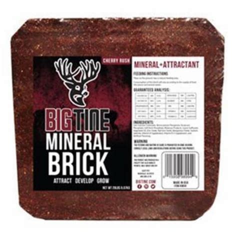 Big Tine Mineral Brick