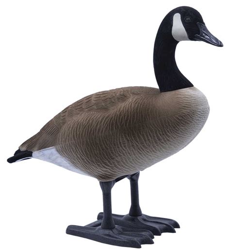 Bigfoot B2 Canada Goose Decoys logo