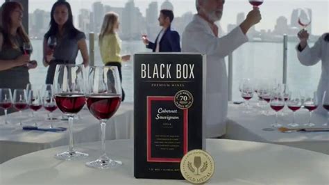 Black Box Wines TV Spot, 'Souvenir' featuring Andrea Vicunia