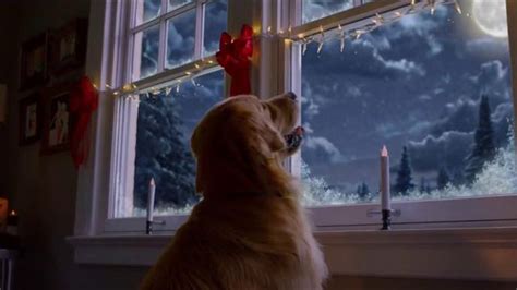 Blue Buffalo TV Spot, 'Christmas Morning'