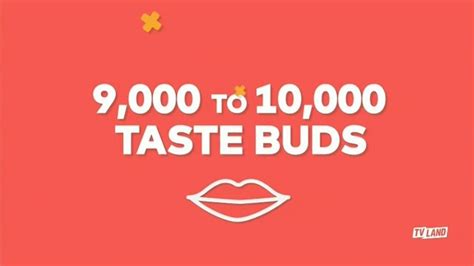 Blue Diamond Almonds TV Spot, 'Taste Buds on Human Tongue'
