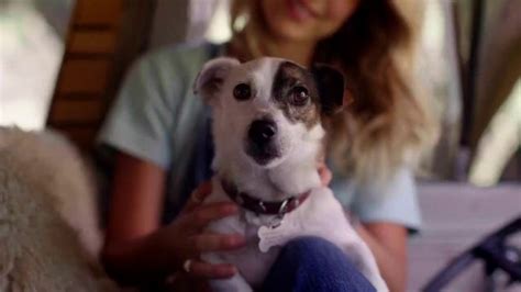 Bobs From SKECHERS TV Spot, 'Bobs Skippers: ayudar a las mascotas'