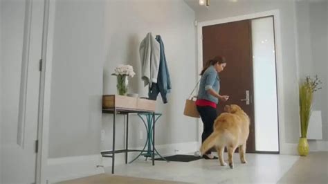 Bounce Pet Hair & Link Guard TV Spot, 'Mascota' created for Bounce