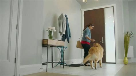 Bounce Pet Hair & Lint Guard TV Spot, 'Repel Pet Hair' created for Bounce