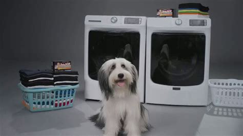 Bounce Pet Hair & Lint Guard TV Spot, 'WE tv: MVP' created for Bounce