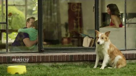 Bravecto TV Spot, 'Parque de perros'
