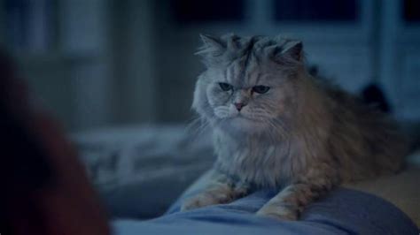 Breathe Right TV commercial - Mouth Breather: From the Cat