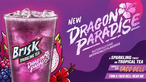 Brisk Dragon Paradise Sparkling Iced Tea logo