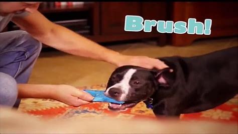 Brush 'N Play TV Spot, 'Sparkling Smiles'