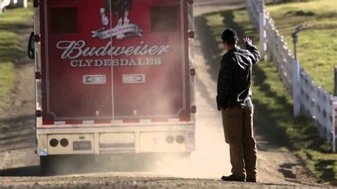 Budweiser 2013 Super Bowl TV Spot, 'Brotherhood' Song by Fleetwood Mac created for Budweiser